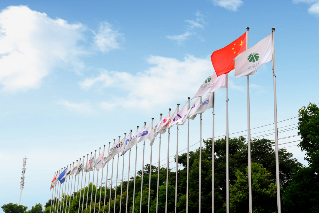 BOBty综合体育·(BOB Sport)官方网站